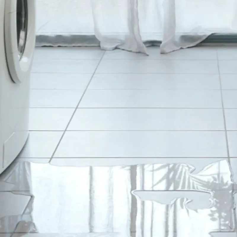 Appliance Leak Cleanup in Glencoe, IL