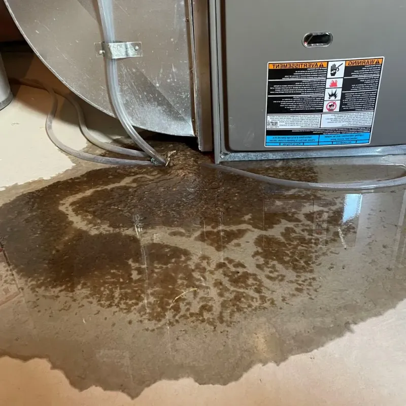 Pipe Burst and Leak Restoration in Glencoe, IL